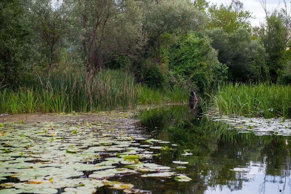 Parkovi prirode - Fotografija Dvanaesta