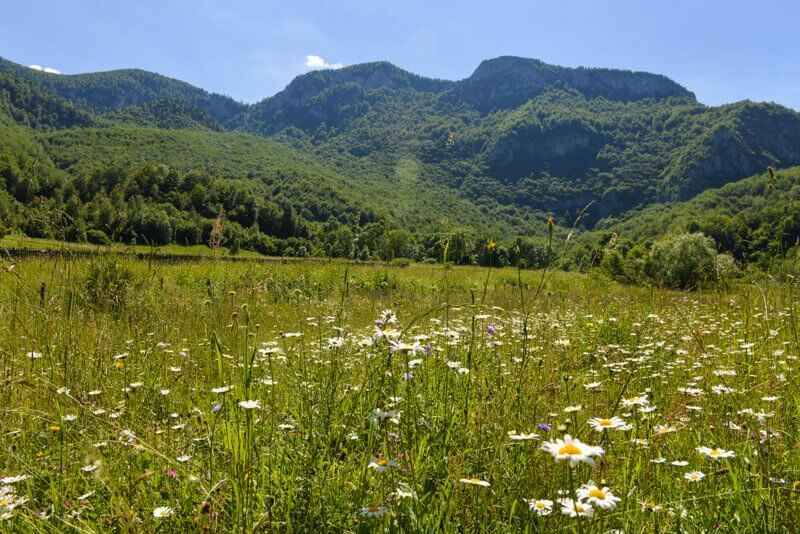 Planine - Fotografija Prva