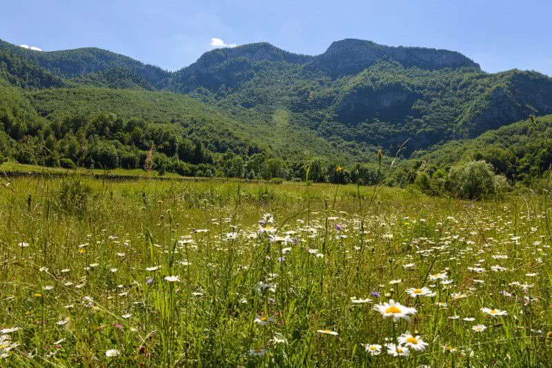 Planine - Fotografija Prva